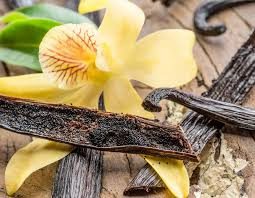 Miel Acacia Vanille